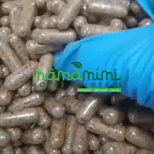 Kapsul Buah Zuriat Ikhtiar Hamil / Egyptian Doum / Hyphaene Thebaica