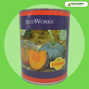 ARNETH ULTIMA F1 KALABASA SEEDS BY SEEDWORKS