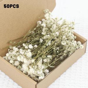 50pcs Mini Dried Gypsophila Flower DIY Aromatherapy Candle Material Home Decor Eternal Flowers Baby Breath Embellish Gift
