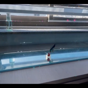 LUCKYMAN 1 pc Umpan Pancing Karet Umpan Lembut 75mm 85mm Umpan Renang Tenggelam Buatan Ekor T Keriting Kepala Jig Perlengkapan Pancing Barang Untuk Ikan Bass Pike