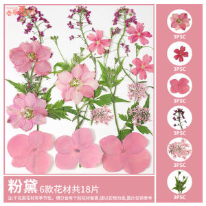 Christmas Dry Flower Bookmarks Handmade Diy Materials Transparent Specimen Glue Pressed Flower Plant End Paper Bottle