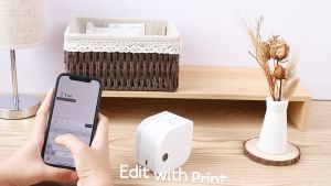 phomemo Standard Label Ribbon Tape/Refill 12mm x 4m For P12/P12pro rainbow label printer丨3 Packs