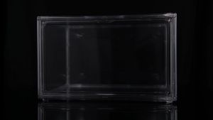 Acrylic Shoe Box & High-Quality Shoe Cabinet: Non-Plastic Solutions