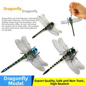 Realistic Large Dragonfly Model Toy