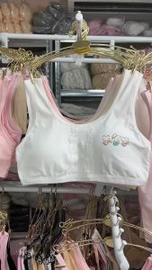 เสื้อในเด็ก เสื้อในเด็กวัยรุ่น เสื้อในเด็ก12ปี เสื้อในเด็ก15ปี พร้อมส่งในไทย ราคาถูกไม่ต้องรอโปร