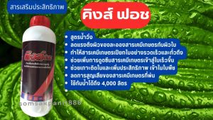 ( 1 ลิตร )คิงส์ฟอช  สารเสริมประสิทธิภาพ  สูตรน้ำวิ่ง  ลดแรงตึงผิวของละอองสารเคมีเกษตรกับผิวใบ  ทำให้สารเคมีเกษตรเปียกใบอย่างรวดเร็วและทั่วถึง  ช่วยเพิ่มการดูดซึมสารเคมีเกษตรเข้าสู่ใบเร็วขึ้น  ช่วยเกาะติดใบและเพิ่มประสิทธิภาพ   ใช้กับน้ำได้ถึง 4000 ลิตร