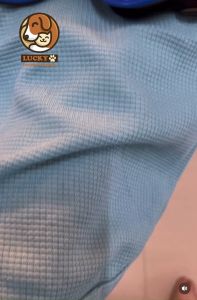 Baju Anjing Kucing Kaos Teddy Polos Tanktop Lucu Murah Santai