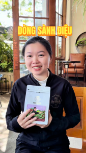 Cà Phê Nguyên Chất Robusta Mix Arabica Cầu Đất Sơ Chế Honey Đậm Vừa Hậu Ngọt Kéo Dài - Pha Phin và Pha Máy