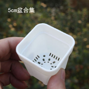 Chậu Nhựa Dày Tròn Vuông Dùng Để Trồng Cây Trong Nhà Văn Phòng Chậu Để Bàn Chậu Để Cây Cỏ Chậu Để Cây Cỏ Chống Rễ