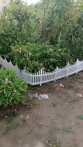 Pagar Dekoratif Plastik Pagar Kebun Shabby Chic Jual Satuan Untuk Taman Interior Easy Install