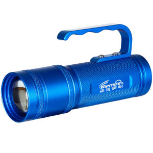 Waterproof High Power Blue LED Fishing Light