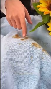 Detergen Cairan Pembersih Minyak di Baju 250ml Anti Noda Minyak