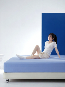 Mercury | Anti-Bacteria Dust Mite Proof Breathable Waterproof Bed Protector