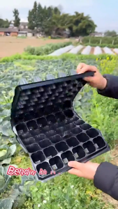 ถาดเพาะกล้า ถาดเพาะชำ ถาดเพาะเมล็ด เพาะต้นอ่อน ขนาด 5072105128200 หลุม ผักสลัด ผักไฮโดร ปลูกผัก