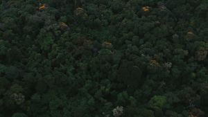 COUCOU CAT ADULT 1.5KG - Makanan Premium Kucing Coucou All Stages