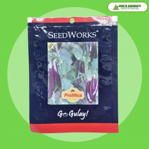SEEDWORKS PROLIFICA F1 VARIETY EGGPLANT SEEDS (50g CAN)