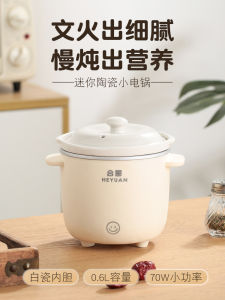 HeYuan Small Slow Cooker Auxiliary Food Pot Tibetan Style Soup Making Electric Ceramic Pot for Baby Food And Porridge