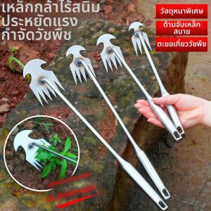 Multifunctional Weed Removal Tool