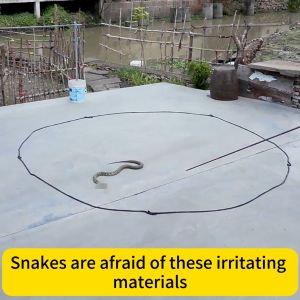 ✨Snakes dare not approach✨snake repellant 3m snake repellent for outdoors
