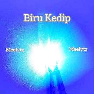 Sepasang Lampu Motor T10 6 LED Senja Banyak Warna Running Kedip DC 12 VOLT