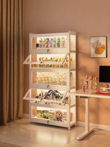 ZHUSHANXIA | Lockable Transparent Dustproof Storage Cabinet with Lighting