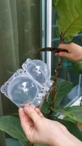 [สินค้าใหม่] การปลูกถ่ายกิ่งก้านสาขาการขยายพันธุ์กล่องขยายพันธุ์แรงดันสูงสำหรับสวนรากพืช