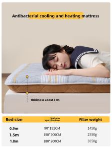 JALICE | Thick Foldable Two-in-One Soft Pad for Dormitory