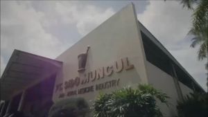 PAKET OBAT PENGGEMUK PENAMBAH NAFSU MAKAN BERAT BADAN : JAMU GEMUK SEHAT SIDOMUNCUL & GALIAN MONTOK SIDO MUNCUL