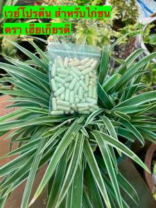 โปรตีนไก่ชน เสริมสร้างกล้ามเนื้อ ขยายกล้ามเนื้อ บำรุงกระดูก และ เอ็น ข้อต่อ Protein plus Calcium บรรจุ 100 เม็ด