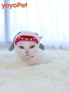 coolpet 🐶 พร้อมส่ง!! หมวกสัตว์เลี้ยง แมว หมา ลายการ์ตูน  น่ารัก มีให้เลือกหลายแบบ