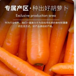 Pure Carrot Powder Orange Vegetarian Baking Colored Noodles Steamed Bread Dumplings Natural Orange Pigment Commercial For Home