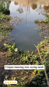 Umpan pancing granular segar premium untuk memancing ikan mas ikan mas rumput ikan mas crucian dan ikan air tawar lainnya[200 tablet]