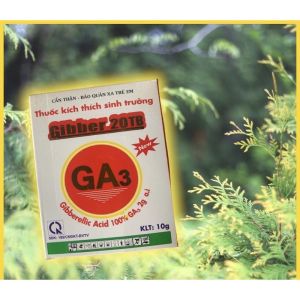 GA3 Chất kích thích sinh trưởng Gibber 20% 10gr