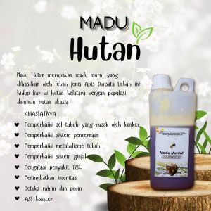 MADU MENTAH MURNI NEKTAR LEBAH 100%