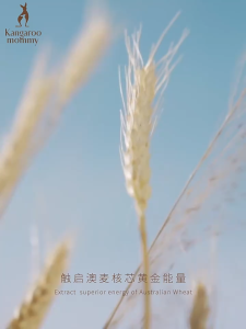 Kangaroo Mommy Wheat Germ Face Mask (25g/Pc) 袋鼠妈妈小麦胚芽面膜（25克/片)