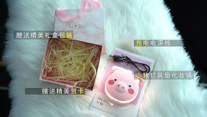 Adorable & Practical: Little Pig Makeup Mirror with USB Mini Fan - Beauty Light + Multi-speed Rechargeable Compact Design
