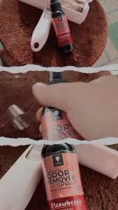 Clever Solutions - ODOR REMOVER SPRAY 100ML (Penghilang Bau Pesing Kencing dan Kotoran Hewan Kucing)