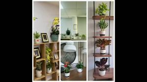 Cây xanh trang trí phòng lớp học mầm non đặt bàn trong nhà thật vẻ đẹp tươi mát và gần gũi với thiên nhiên