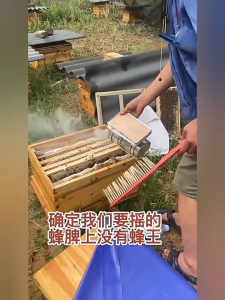 Alat lebah panen madu apis cerana apis melifera alat smoker mesin smoker asap lebah bee smoker