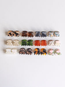 Mini Acetate Hair Claw Princess Style Forehead Clip Fashionable Hair Accessories Side Bun Hairpin Fresh out New Spring Summer