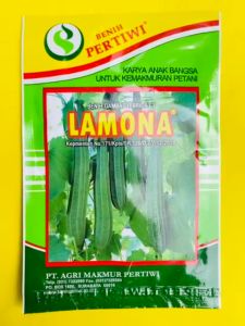 Benih unggul gambas hibrida F1 LAMONA dari PERTIWI. Isi 10gram joss tenann!!