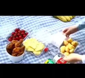 Automatic Mosquito Tabletop Food Protector – Auto-Catches Flies & Repels Mosquitoes  Perfect Indoor Dining & Outdoor