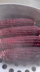 SiamRubyQueen2 (400 seeds) "ราชินีทับทิมสยาม2 ข้าวโพดหวานสีแดง เมล็ดพันธุ์ของแท้ เมล็ดสีเหลืองคลุกยาสีแดง บรรจุ  400 เมล็ด