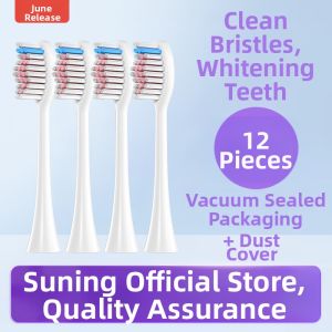 Soft Bristle Electric Toothbrush Heads Compatible with Mteeth Star X3 Eternal M1.2 for Gums Care by Liuchushou Early June