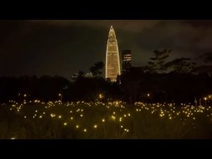 Christmas Decoration Light String 10LED Christmas Garden Lights Solar Firefly Light Outdoor Waterproof Landscape Lamp Fairy Light String for Home Yard
