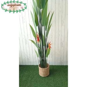 Pohon Hias Pisangan Heliconia Bunga Paradise T210 Latex Pot Dasar Hitam Cover Eceng Gondok Hiasan Cafe Aesthetic