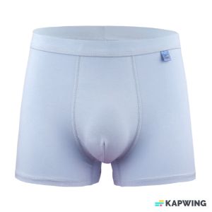 Celana Dalam Pria 2 pcs Underwear Boxer Ice Silk Ukuran (60 – 85kg) 3305