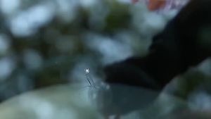 Fast Glass Repair Car Cracked Windshield Repair Kit Glass Crack Repair Liquid Glass Repair Kit Windscreen Scratch 2ml