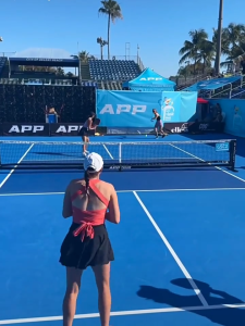 Pickleball Nets Portable Outdoor 22 FT Pickleball Net USAPA Size Pickle Ball Game Net System with Carrying Bag