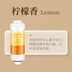 Aromatherapy Shower Filter Home Use Chlorine Removal Pure Water Skin Beauty Bathing Bath Showerhead Filter Hair Care